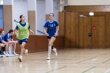 Bild 162 - wBJ TSV Ellerau - HSG Stoertal Hummeln : Ergebnis: 26:19